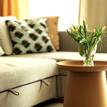 Apartment Colour House