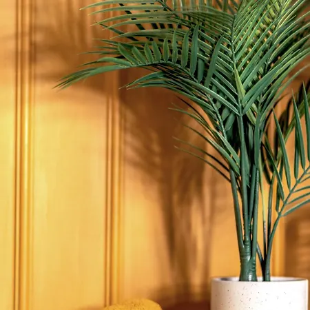 Colour House * Гданьск