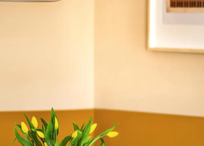 Colour House * Gdańsk